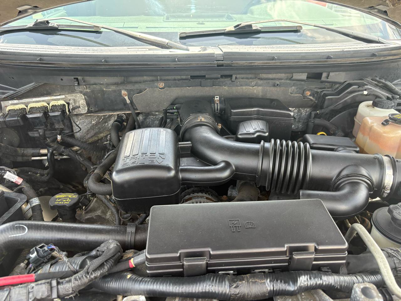 Used 2010 Ford F150 XLT AWD/4WD image 58