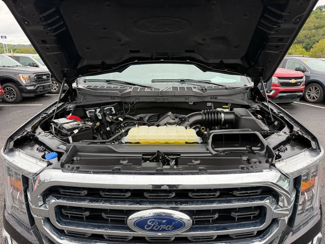 Used 2023 Ford F150 XLT w/ Equipment Group 302A High AWD/4WD image 16