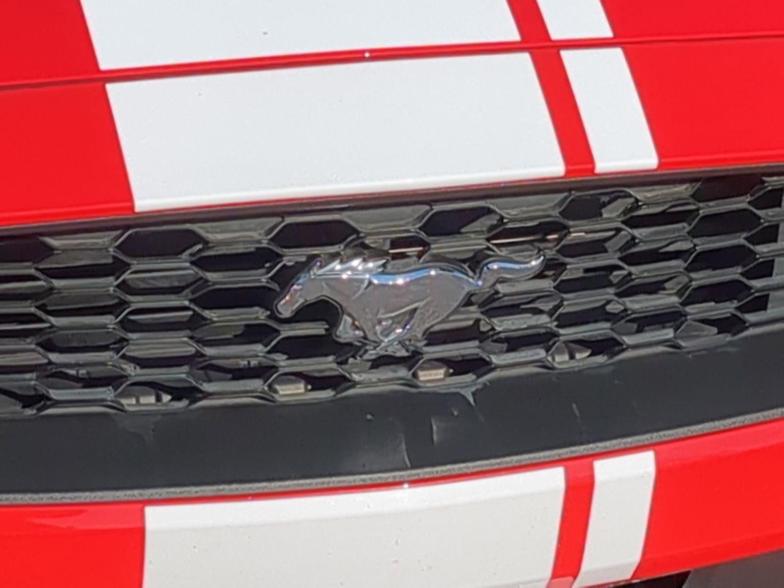 Used 2023 Ford Mustang Premium w/ Equipment Group 201A image 13