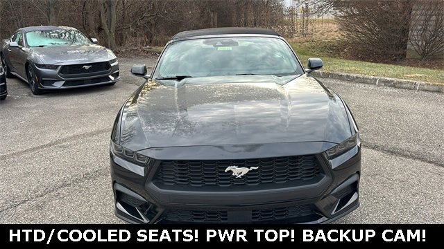 New 2026 Ford Mustang Premium image 5