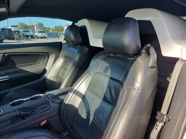 Used 2019 Ford Mustang GT Premium w/ Equipment Group 401A image 14