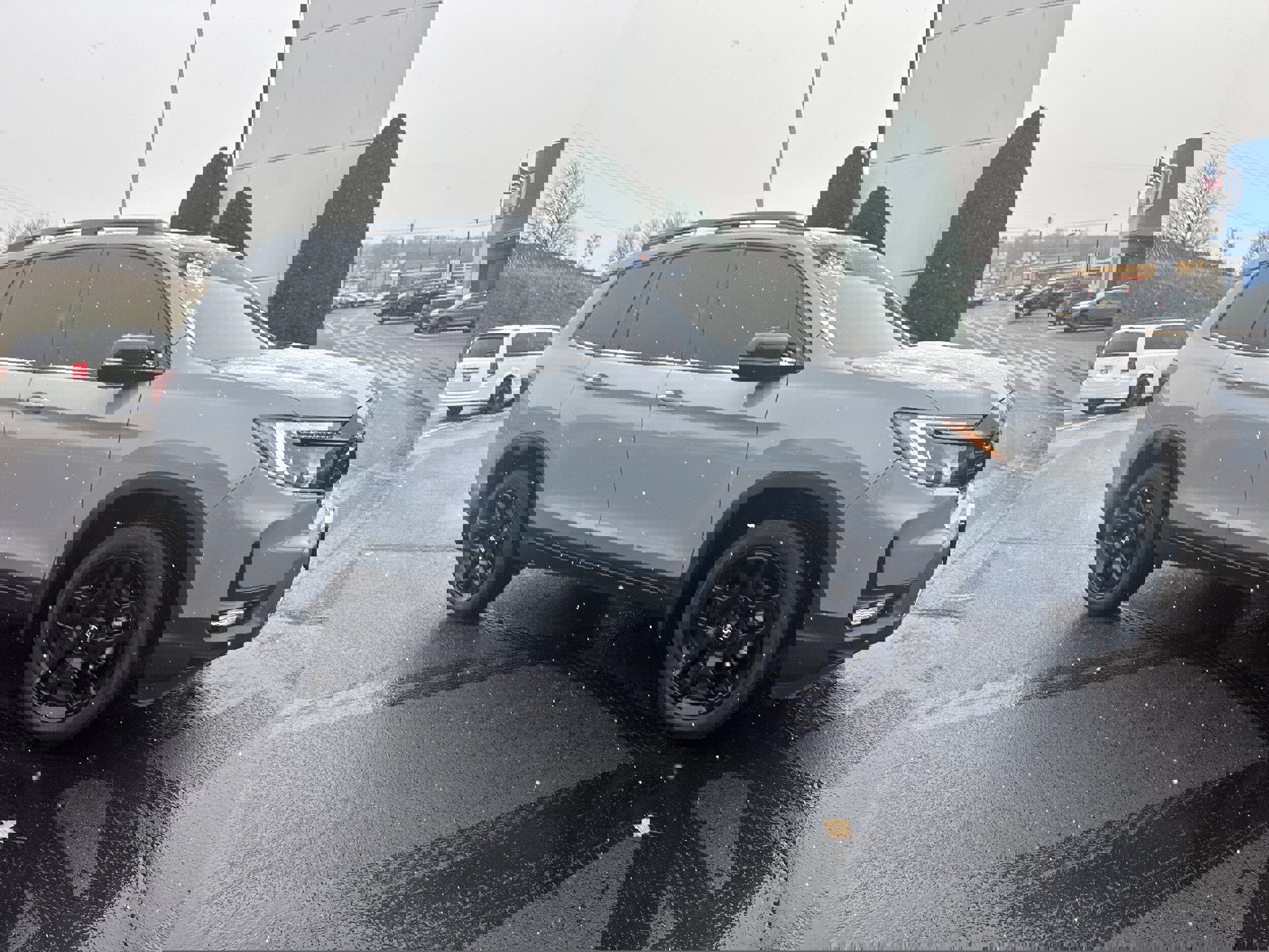 Used 2025 Honda Passport Black Edition