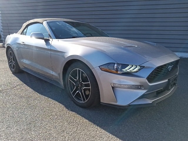 Used 2023 Ford Mustang Premium image 1