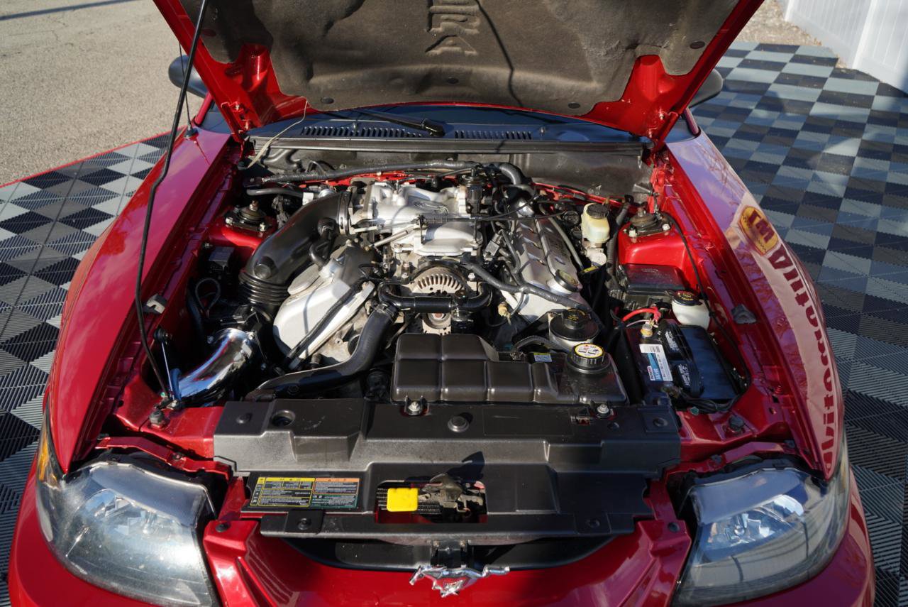 Used 2001 Ford Mustang Cobra image 62