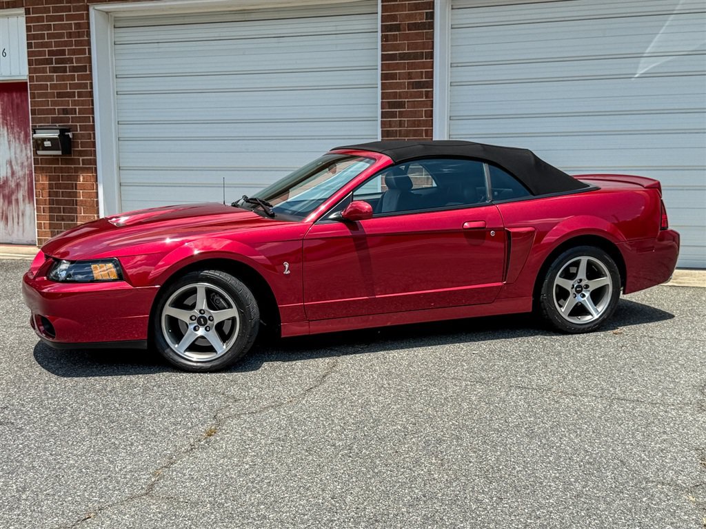 Used 2004 Ford Mustang Cobra RWD image 4