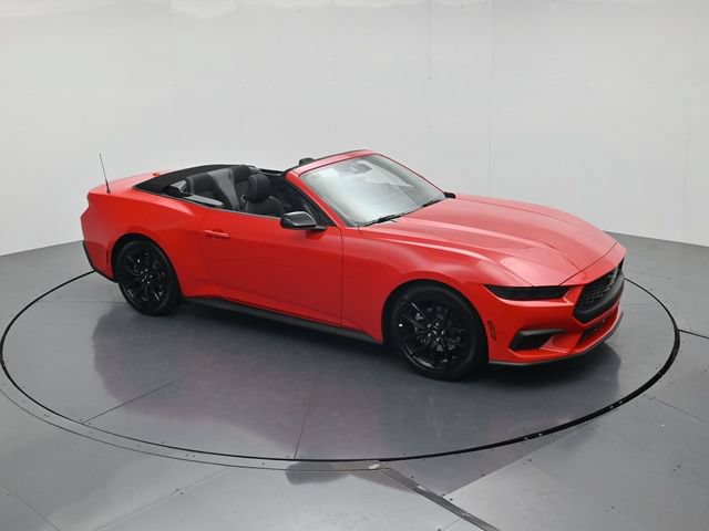 New 2026 Ford Mustang Convertible w/ Mustang Nite Pony Package RWD image 48