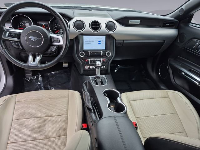 Used 2019 Ford Mustang Premium image 12