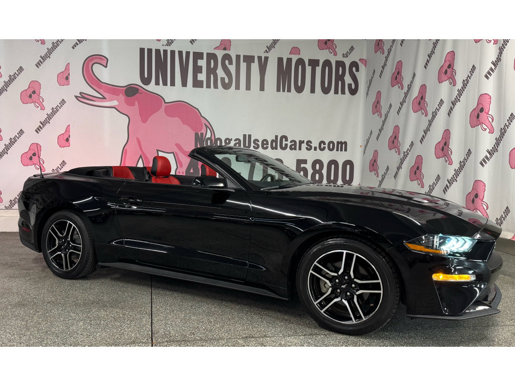 Used 2018 Ford Mustang Premium w/ Equipment Group 201A RWD image 3