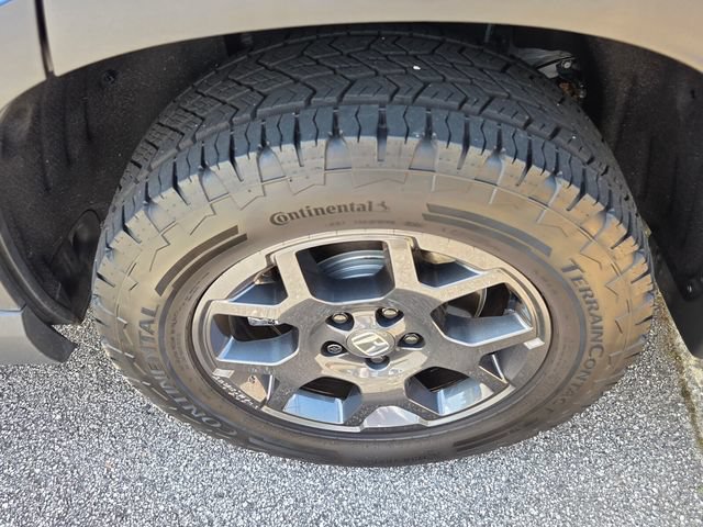 Used 2025 Honda Pilot TrailSport image 5