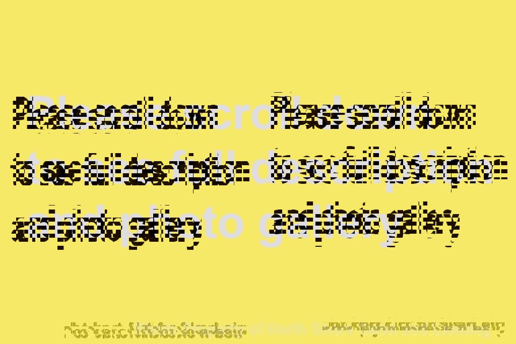 Used 2001 Ford Mustang GT image 12