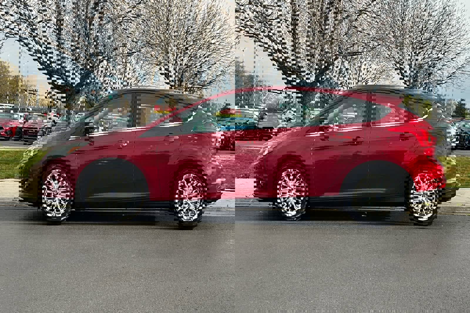 Used 2014 Ford Focus Titanium image 5