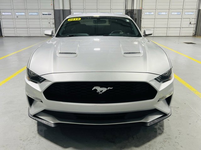 Used 2019 Ford Mustang EcoBoost image 12