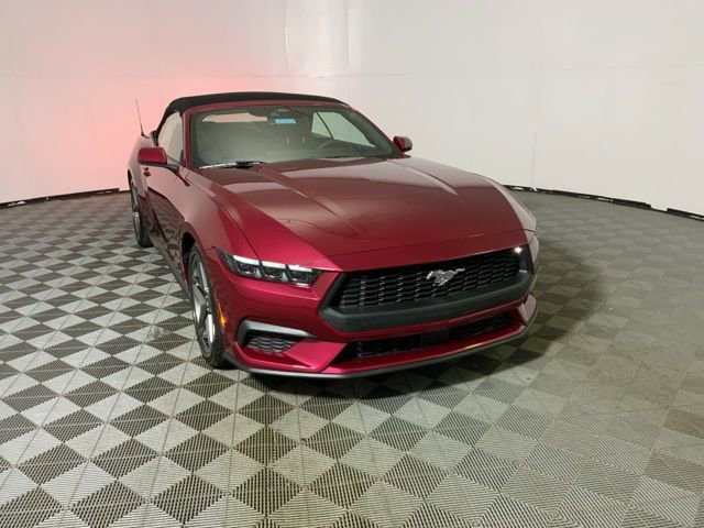 New 2026 Ford Mustang Premium image 5