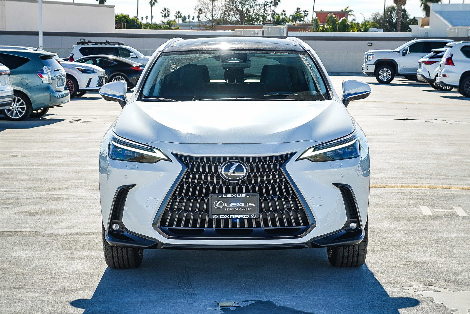 New 2026 Lexus NX 350 AWD w/ Luxury Package image 2