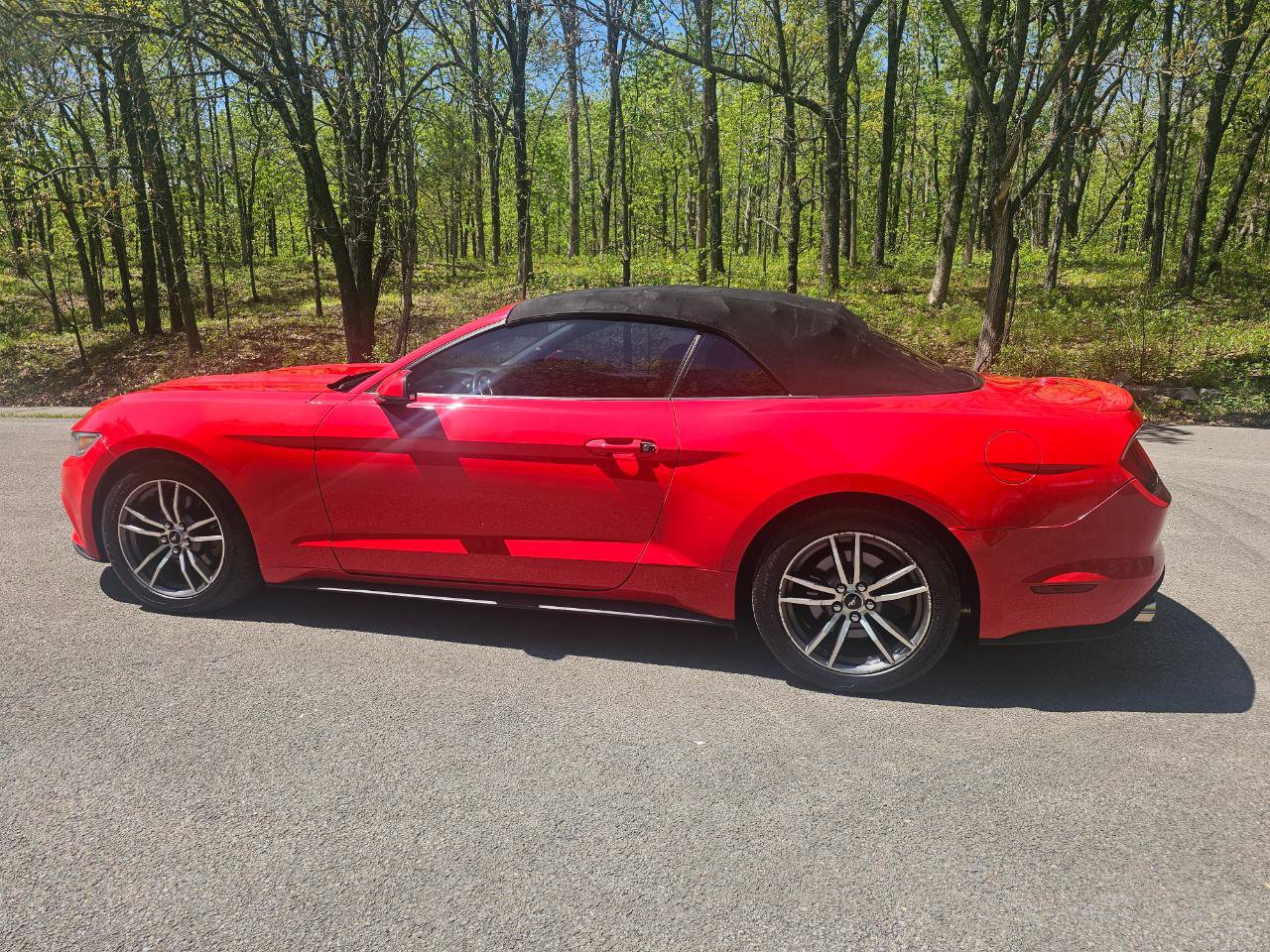 Used 2016 Ford Mustang Premium RWD image 9