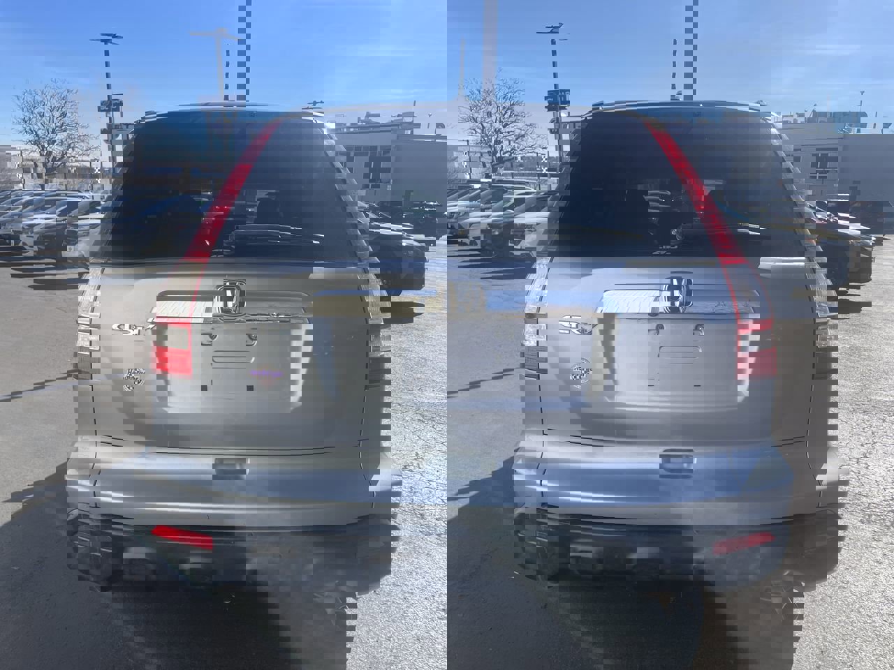 Used 2008 Honda CR-V EX-L image 6