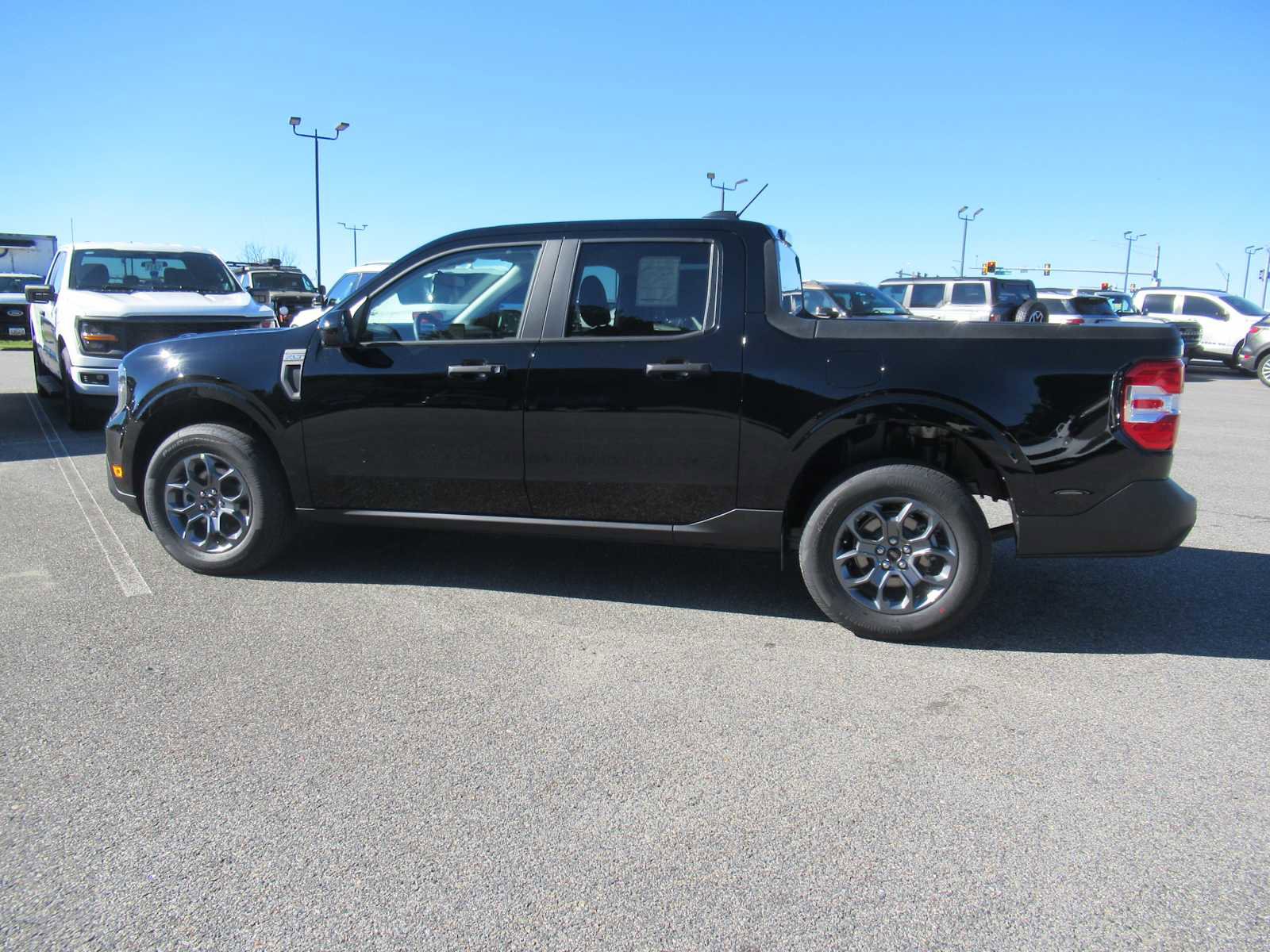 New 2025 Ford Maverick XLT w/ Equipment Group 301A image 8