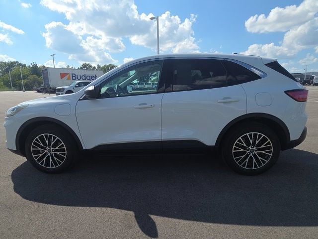 Used 2022 Ford Escape SE FWD image 14