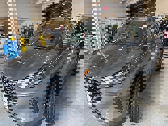 New 2025 Ford Escape ST-Line w/ Cold Weather Package image 3