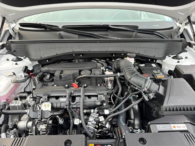 New 2026 Hyundai Kona Limited AWD/4WD image 24