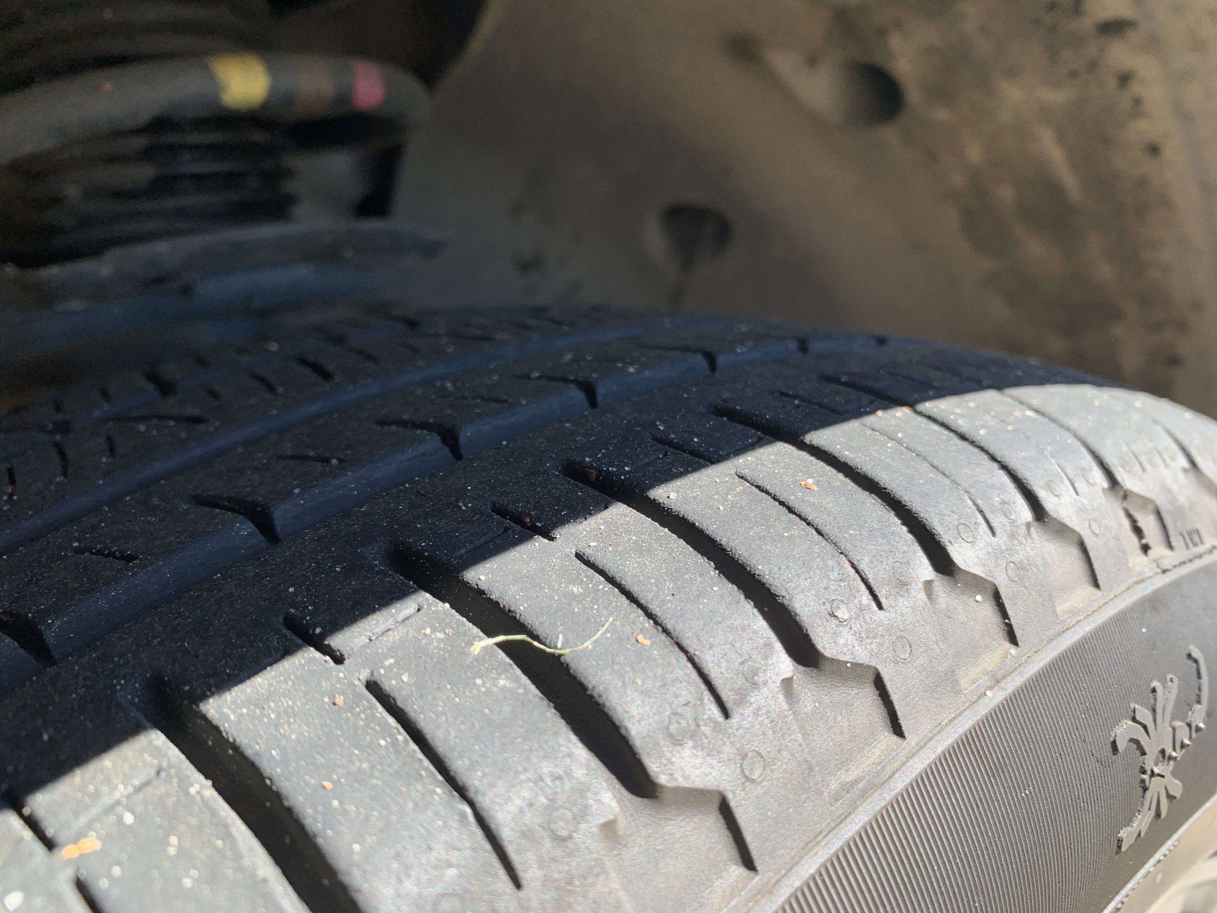 Used 2022 Volkswagen Tiguan SE R-Line image 12