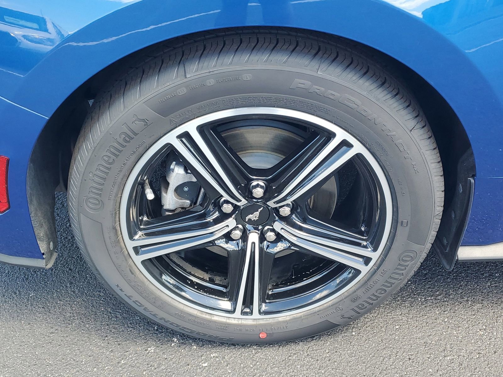 Used 2024 Ford Mustang Premium RWD image 5