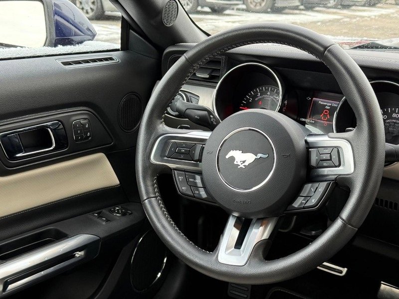 Used 2015 Ford Mustang 50 Years image 12