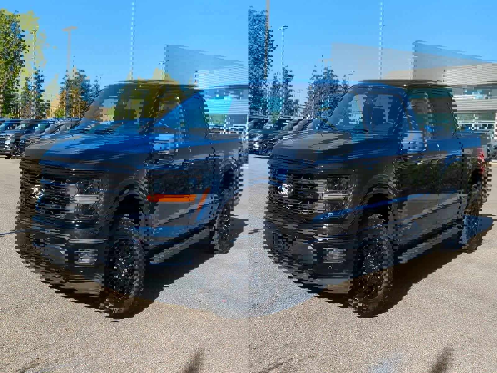 Used 2024 Ford F150 XLT w/ Equipment Group 302A MID