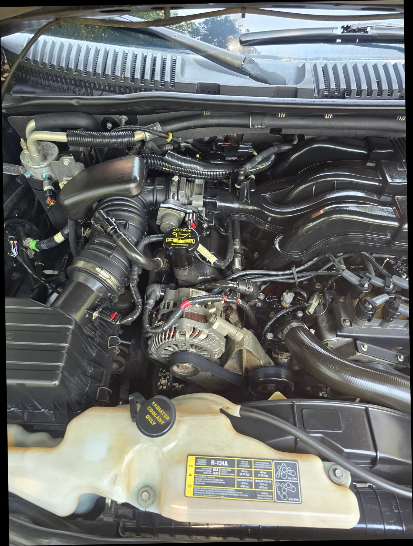Used 2009 Ford Explorer Eddie Bauer RWD image 17