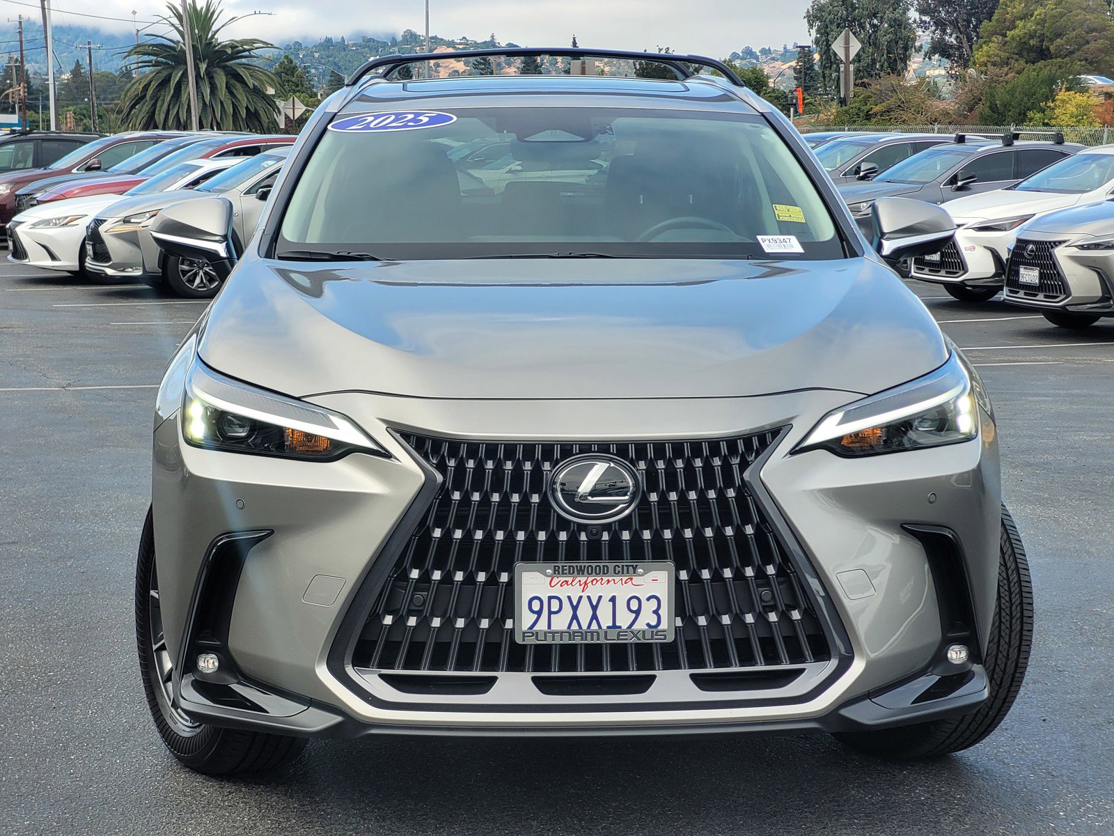 Used 2025 Lexus NX 350h AWD w/ Premium Package image 2