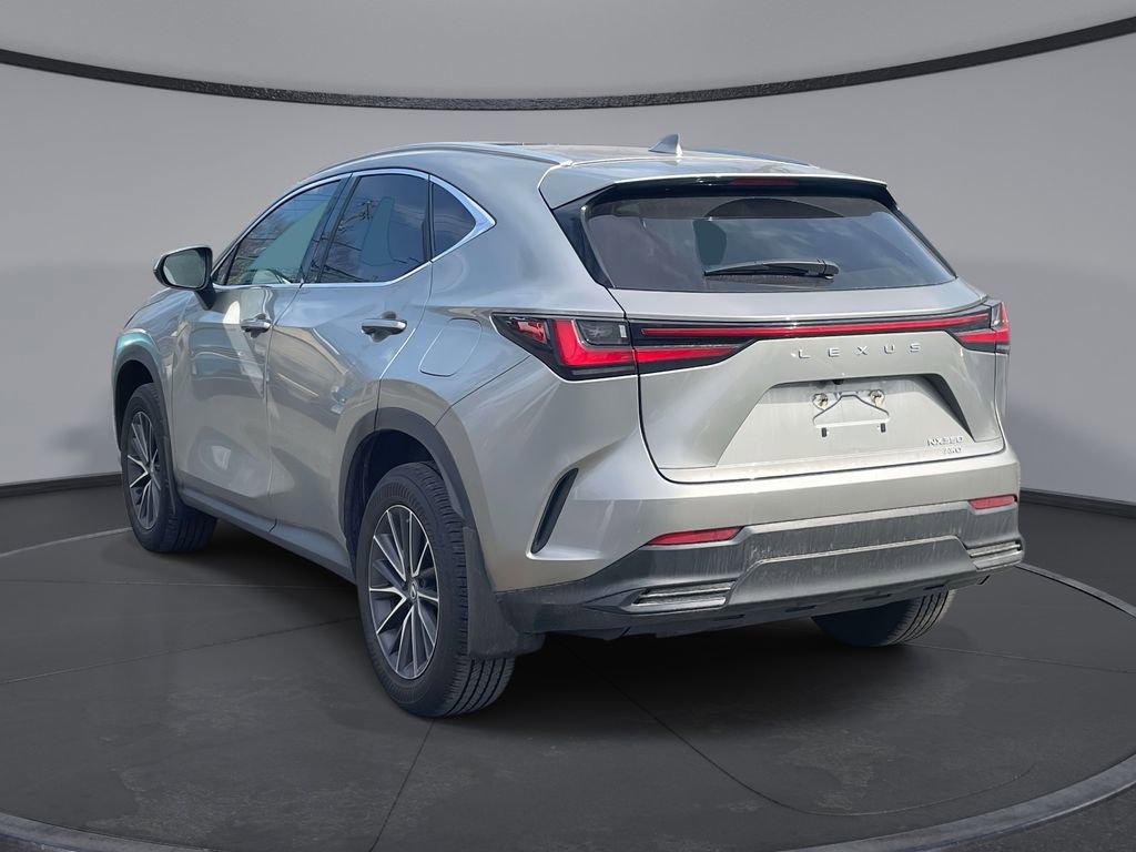 Used 2024 Lexus NX 350 AWD w/ Cold Area Package image 8