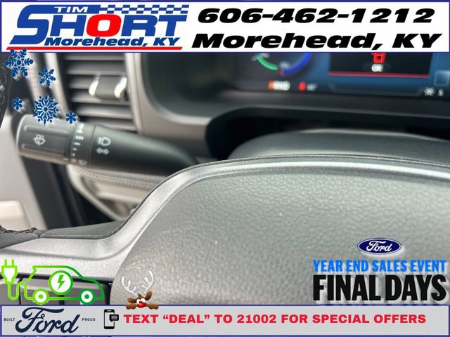 New 2025 Ford F150 Lightning Flash image 20