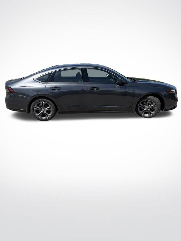Used 2024 Honda Accord EX-L image 5
