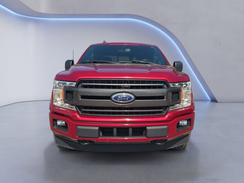 Used 2019 Ford F150 XLT w/ Equipment Group 302A Luxury AWD/4WD image 8