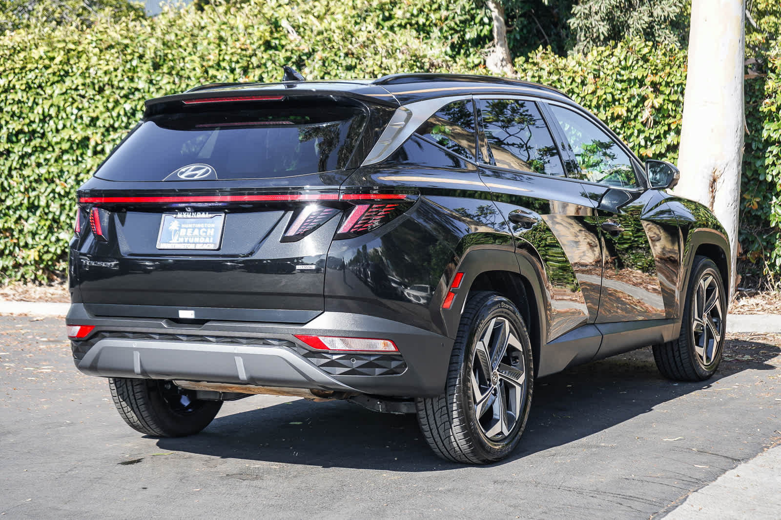 Used 2024 Hyundai Tucson Limited AWD/4WD image 6