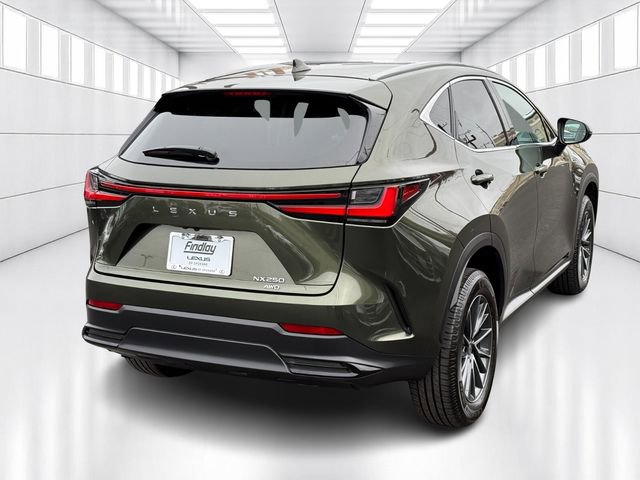Certified 2022 Lexus NX 250 AWD image 5
