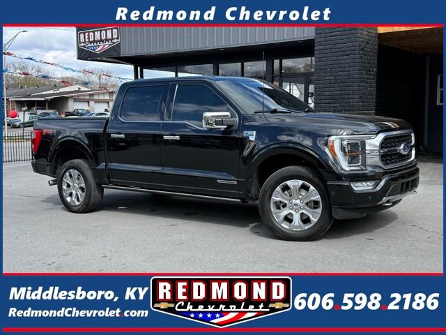 Used 2023 Ford F150 Platinum w/ Equipment Group 701A High image 1