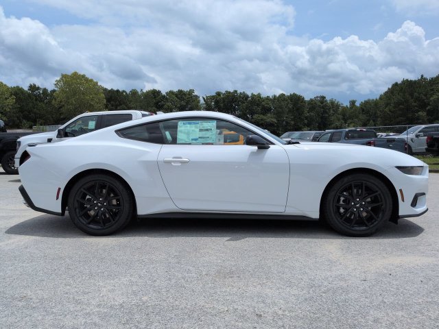 New 2026 Ford Mustang Coupe w/ Mustang Nite Pony Package RWD image 3