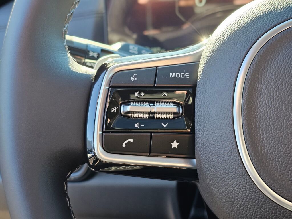 New 2026 Kia Carnival SX Prestige image 39