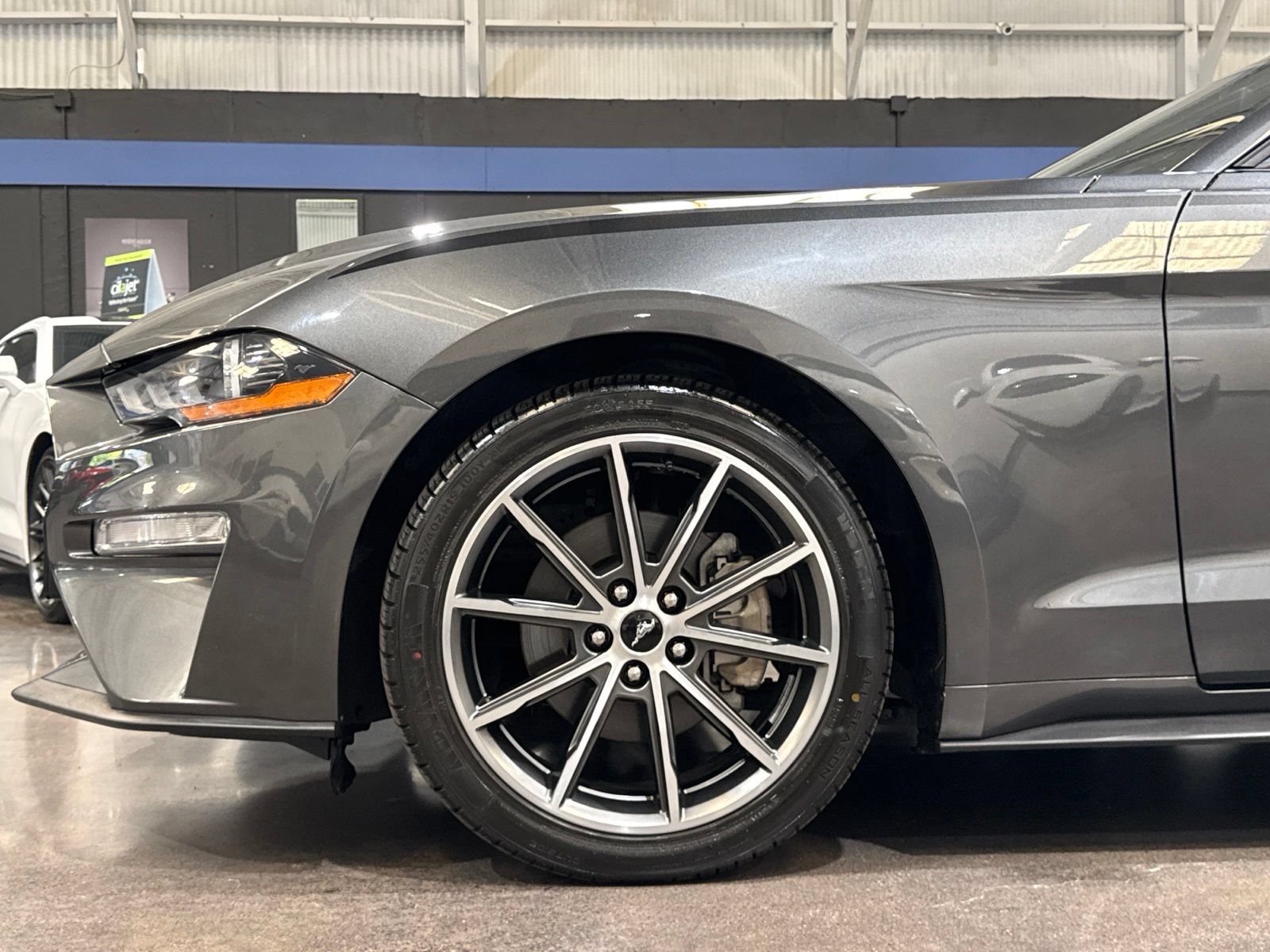 Used 2019 Ford Mustang Premium w/ Equipment Group 201A RWD image 10