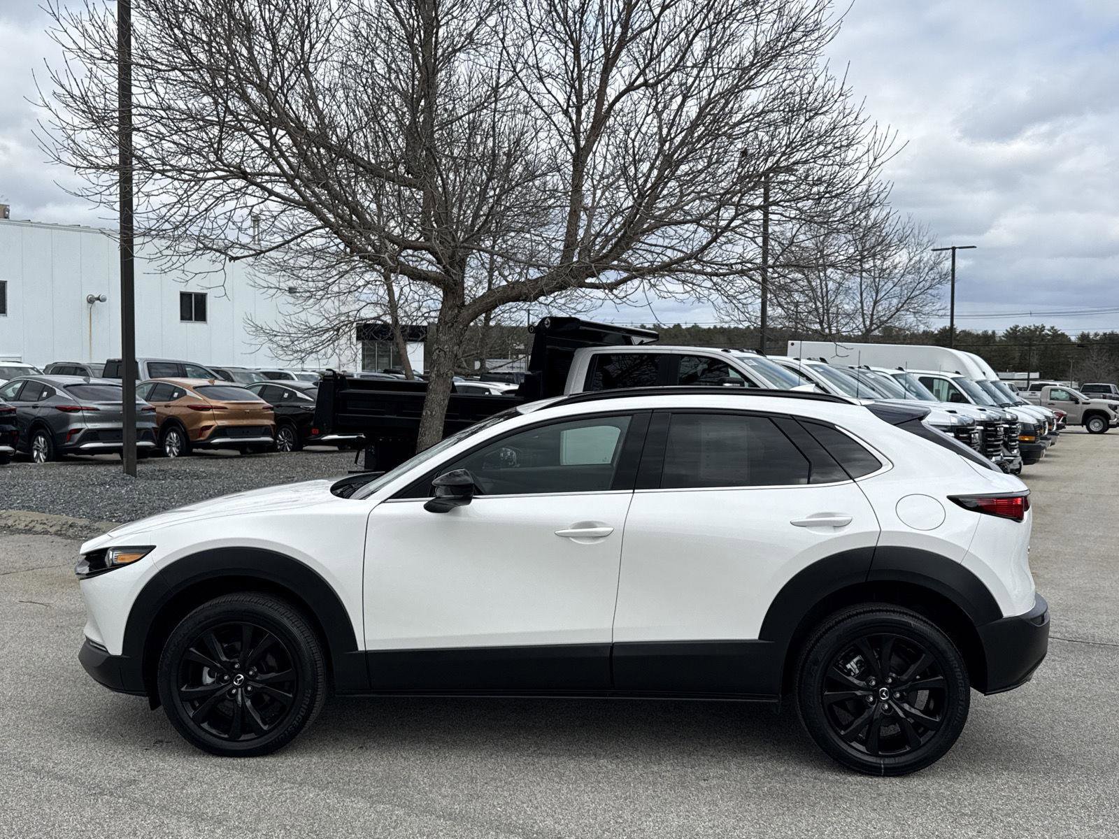 Used 2025 MAZDA CX-30 2.5 Turbo w/ Premium Plus Pkg AWD/4WD image 4