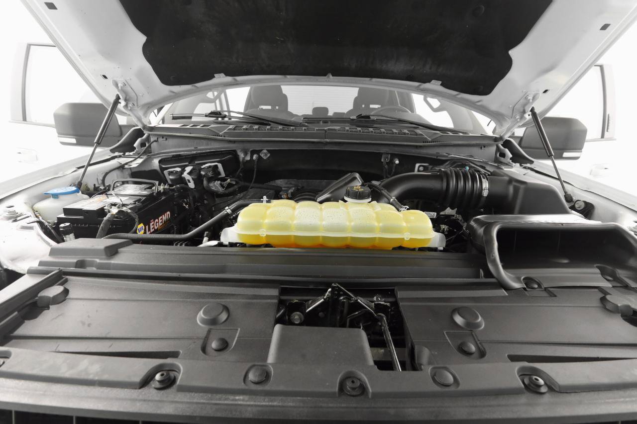 Used 2019 Ford F150 XLT w/ Equipment Group 301A Mid image 34