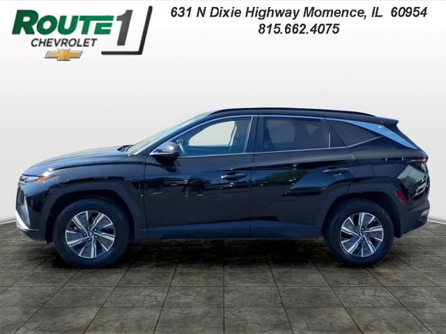 Used 2023 Hyundai Tucson Blue AWD/4WD image 2
