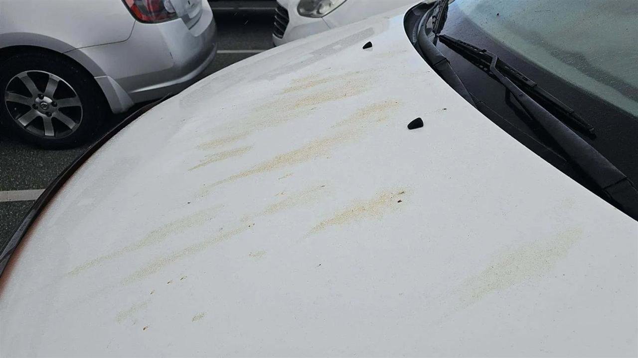 Used 2009 Kia Sedona LX image 26