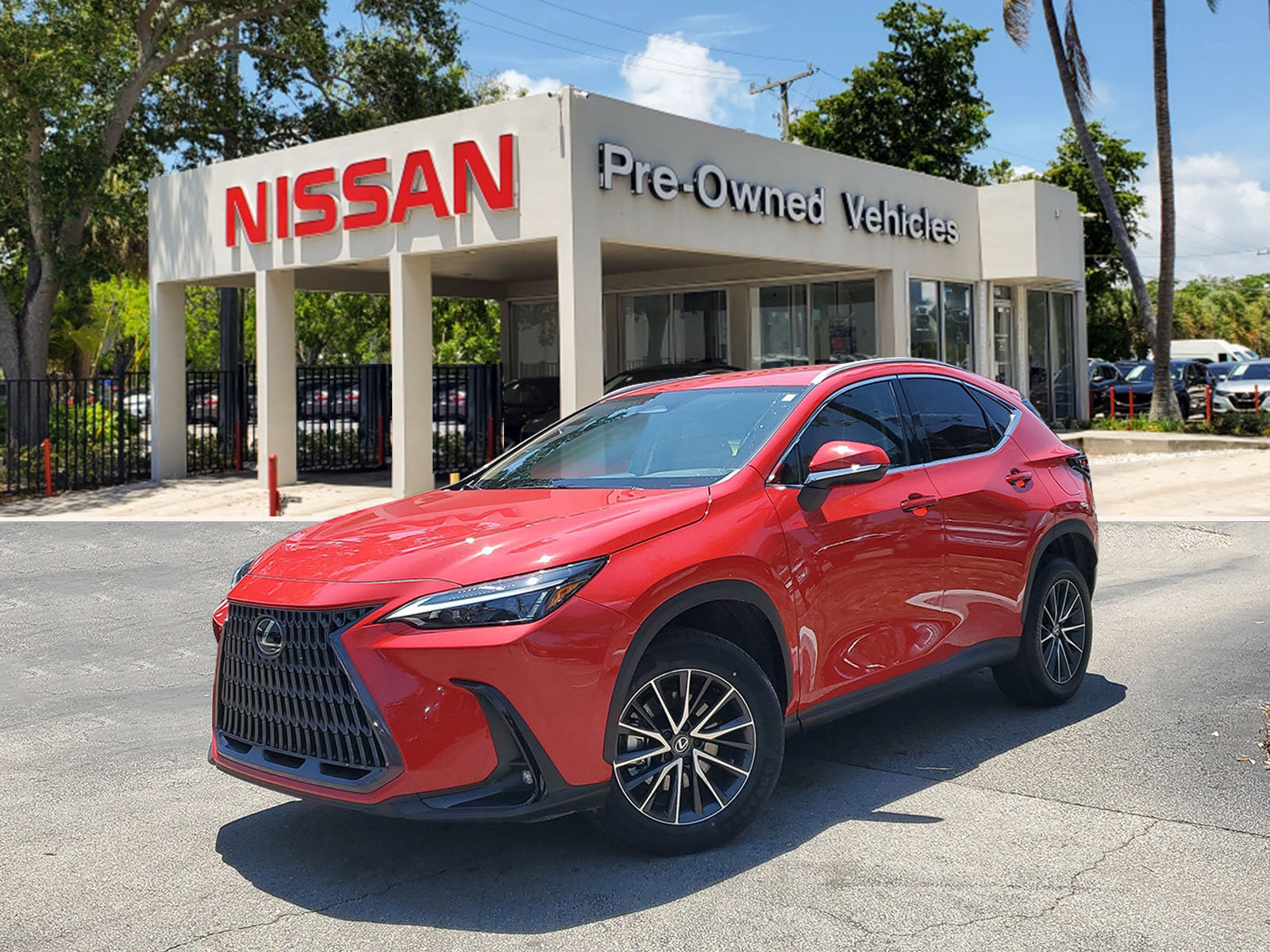 Used 2024 Lexus NX 250 NX 250 image 1