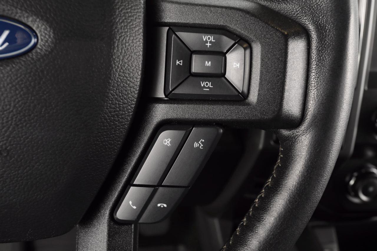 Used 2019 Ford F150 XLT w/ Equipment Group 301A Mid image 16