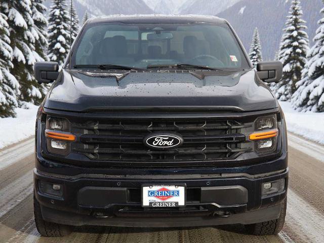 Certified 2024 Ford F150 XLT w/ Equipment Group 302A MID image 9