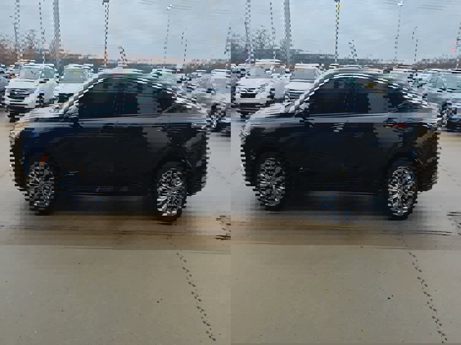 Used 2024 Buick Envista Avenir image 6