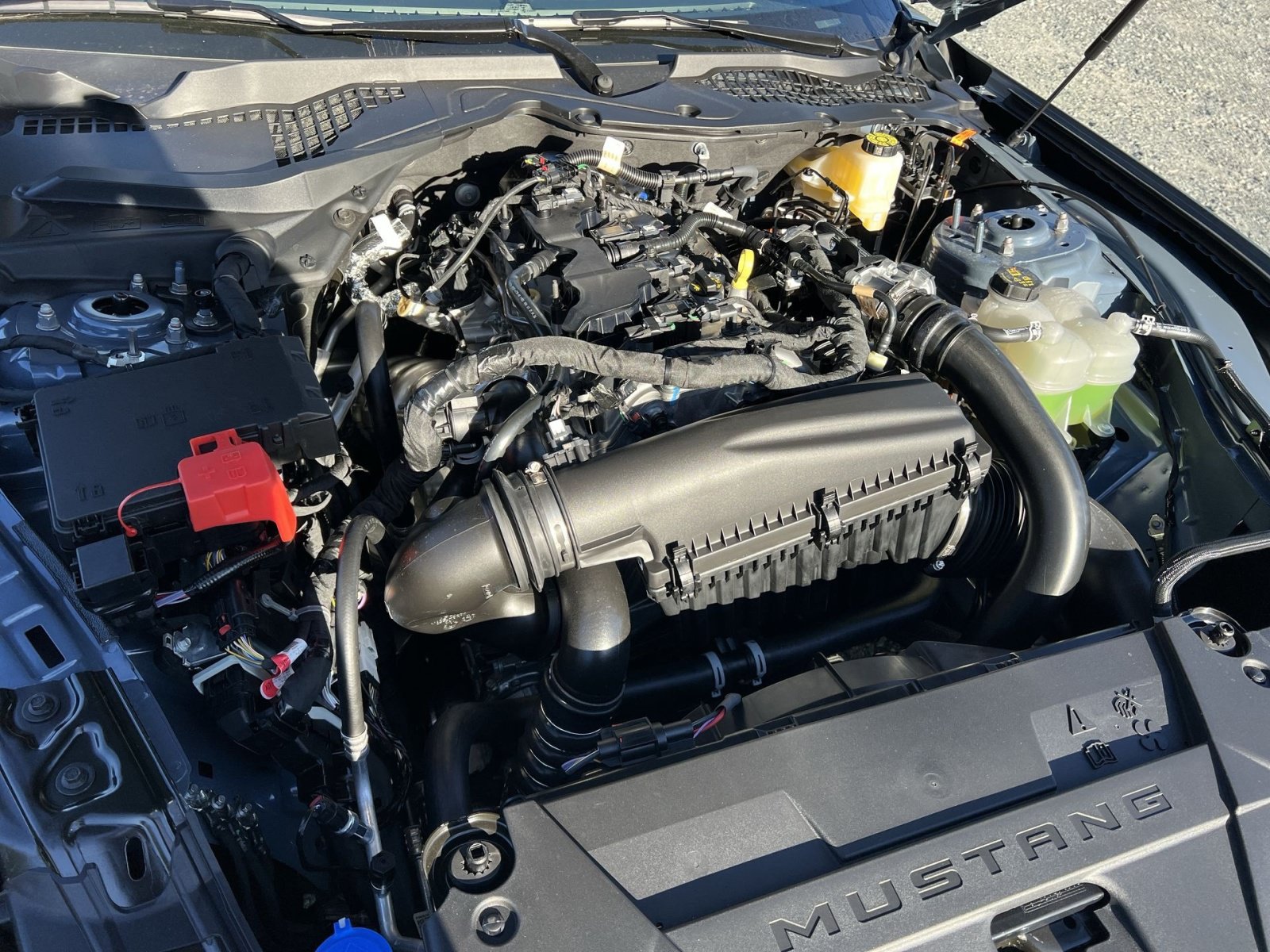 New 2026 Ford Mustang Coupe RWD image 25