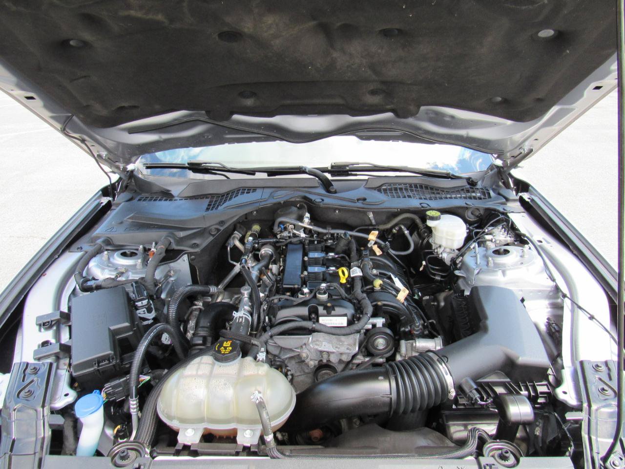 Used 2021 Ford Mustang Coupe w/ Equipment Group 101A RWD image 27